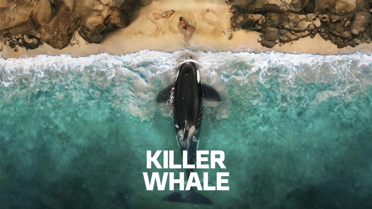 فيلم Killer Whale 2026 مترجم اونلاين بجودة عالية